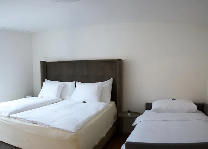 Appartement Wollishofen Station 2 Bedroom Luxury *