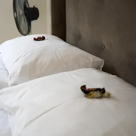 Wollishofen Station 2 Bedroom Luxury Appartamento