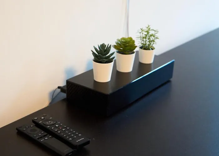 Wollishofen Station 2 Bedroom Luxury Appartement Zurich